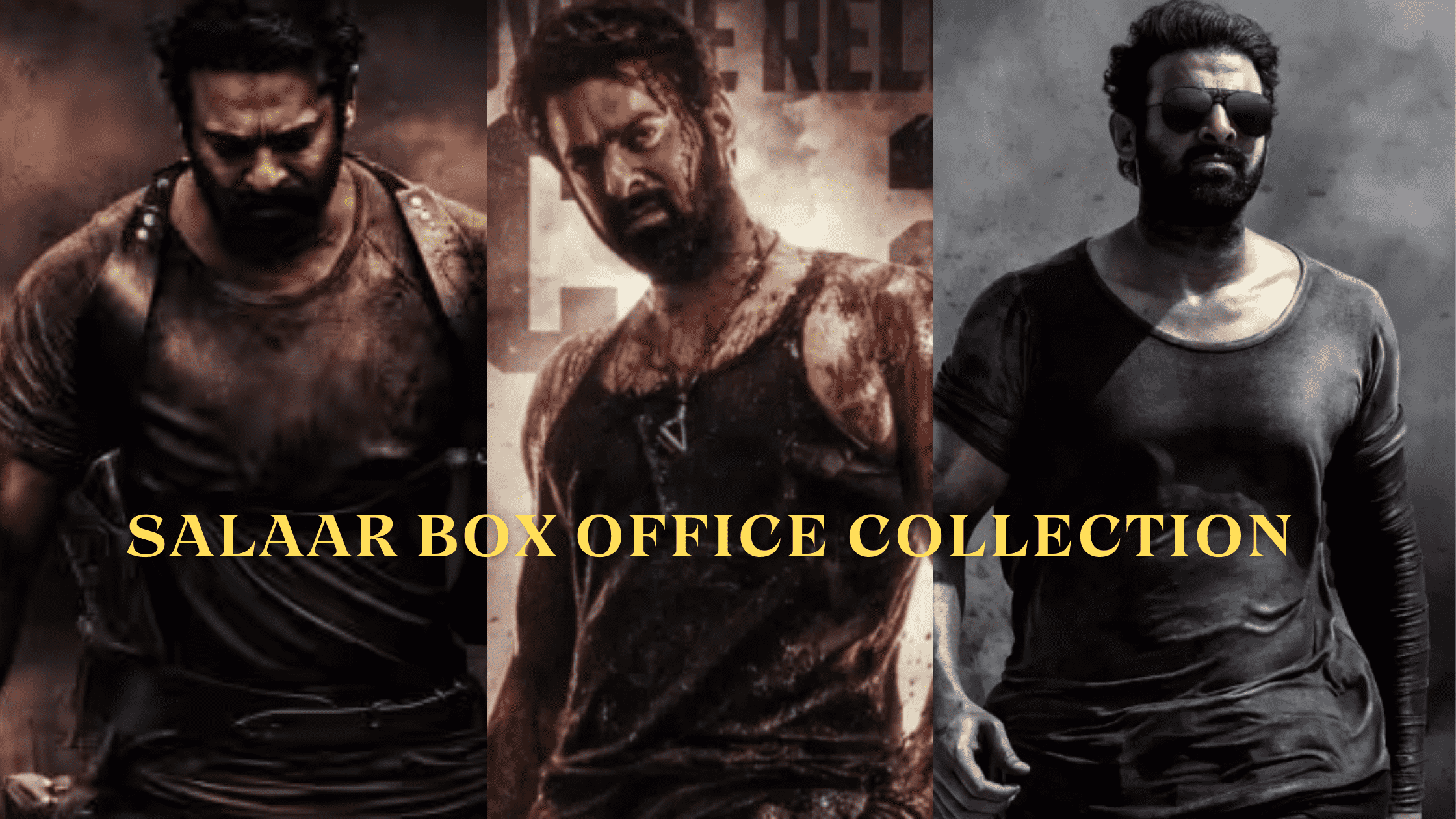 Salaar Box Office Collection Day 17